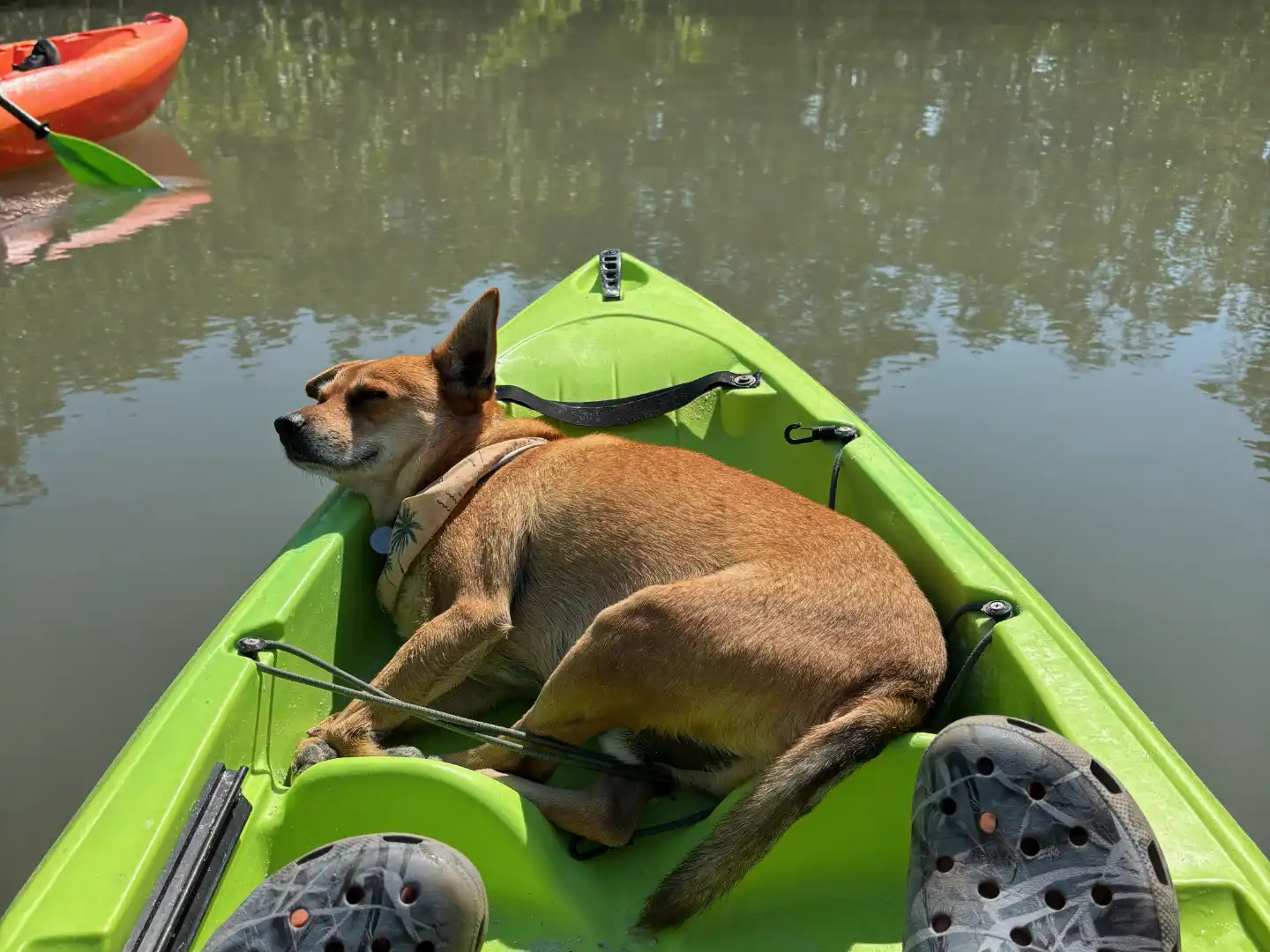 Mike's Coastal Expeditions guides on the water at Big Hickory Island, Bonita Springs