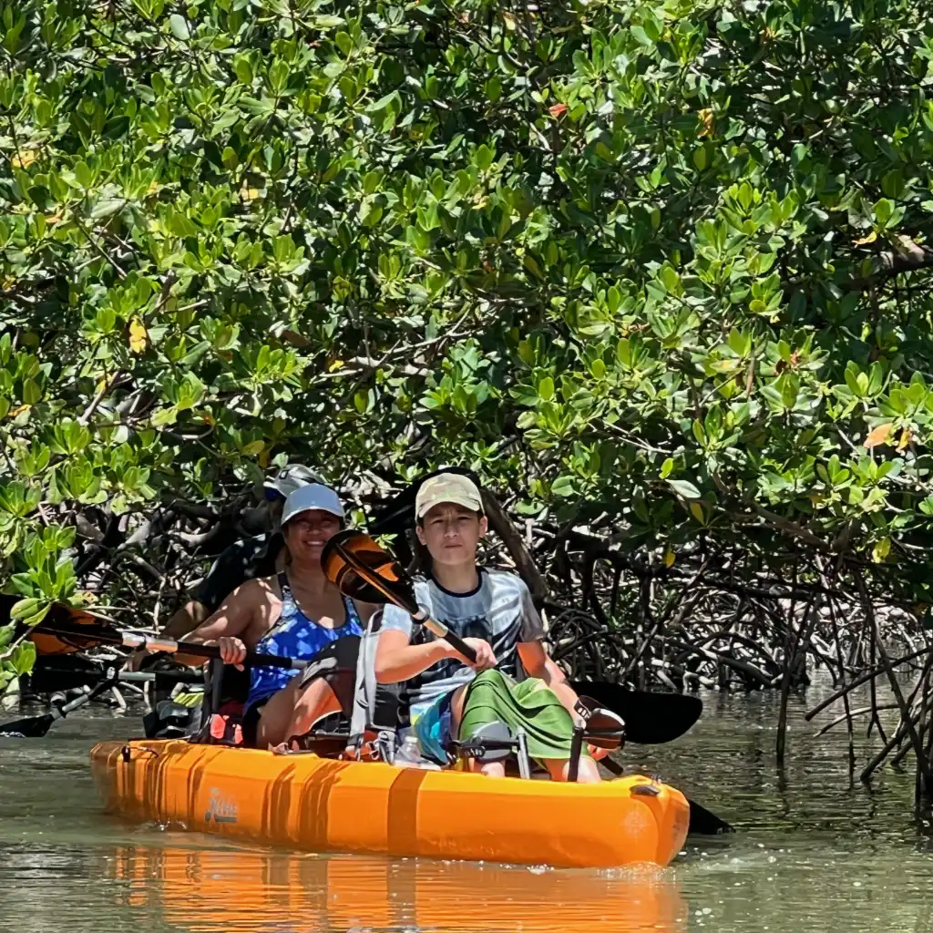 Kayakers paddling through a sunlit mangrove tunnel near Big Hickory Island, Bonita Springs